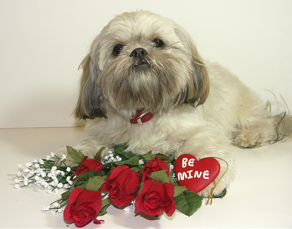 Be Mine?