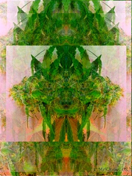 Cannabinoid I