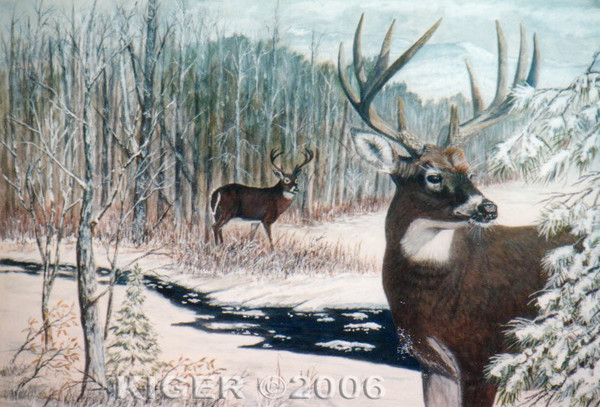 Deer