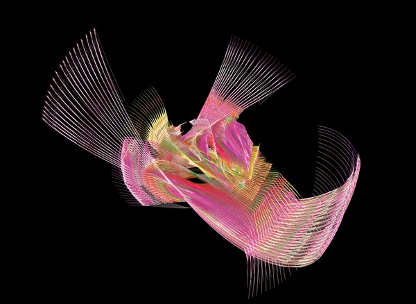 Salmon in flight