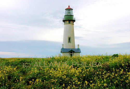 Yaquina Lighthouse