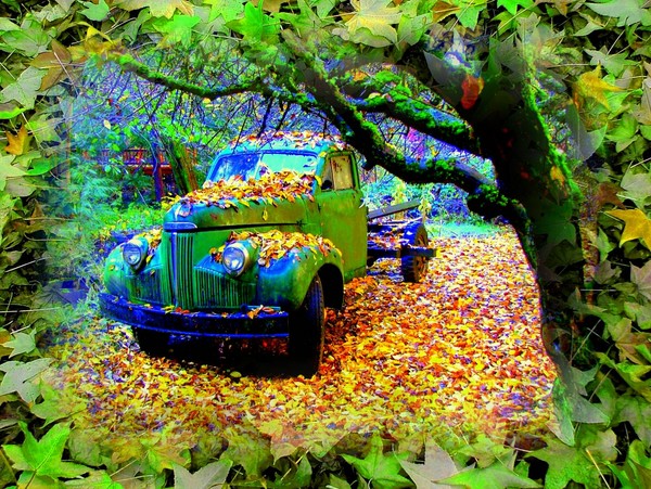 Old Studebaker Truck