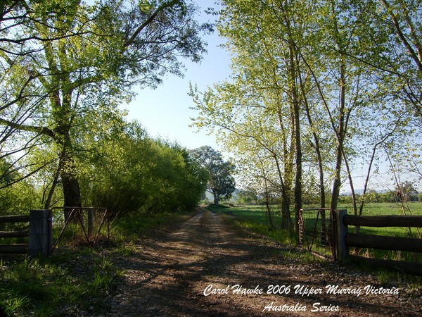 Spring Has Sprung ..Road Less Travelled 
