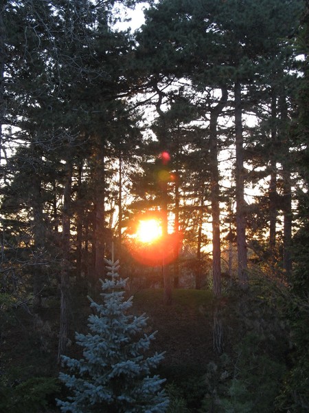 Sunset in the Highland Park, Rochester