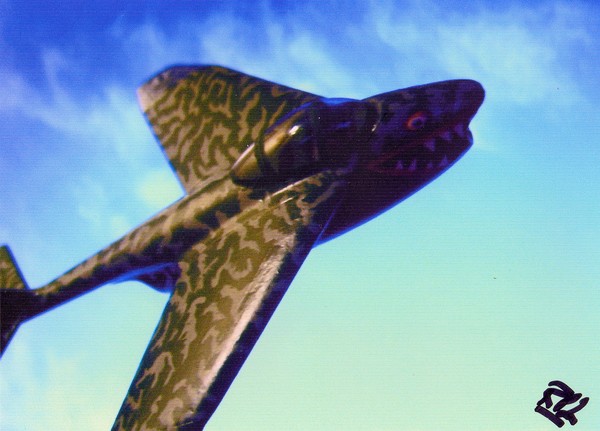 Sky predator