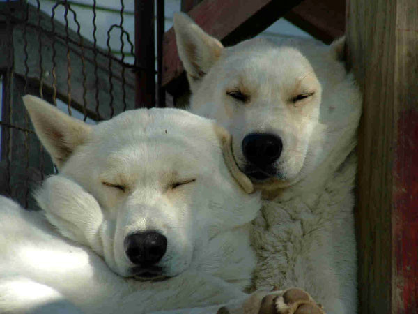 father and son