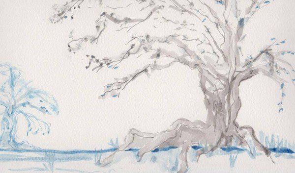Dolly's Tree