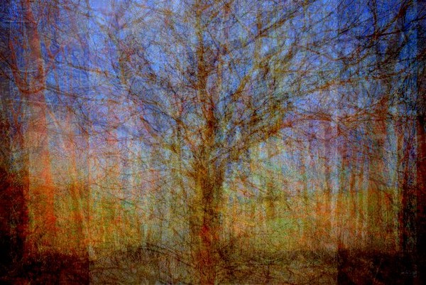 Every Tree