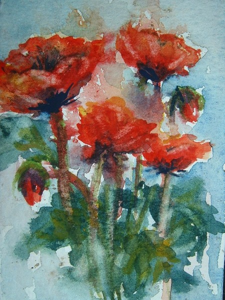 poppies