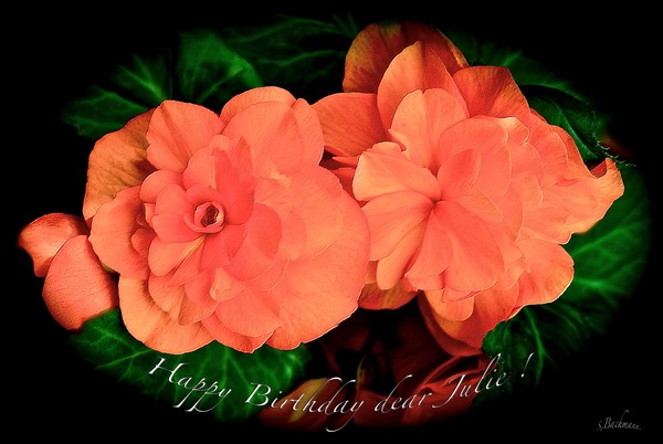 Happy Birthday dear Julie !