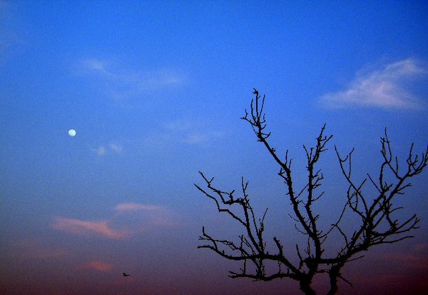 Nature's Silence...!