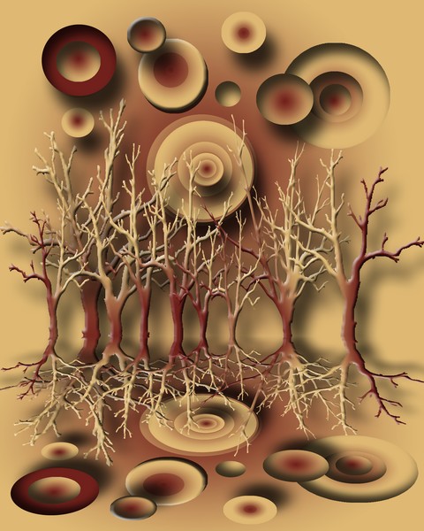 trees and stars