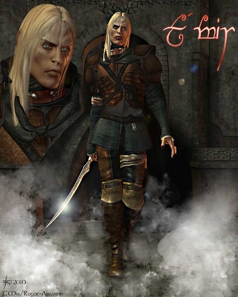 The Rogue