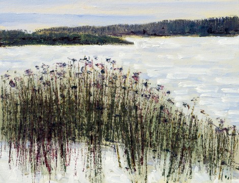 On Frozen Pond