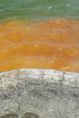 Color