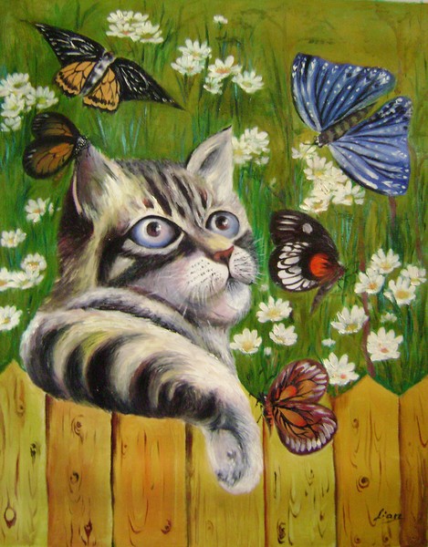 butterfly dreams
