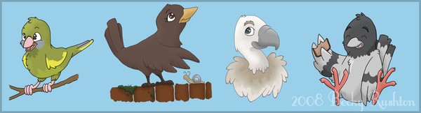 Bird Life