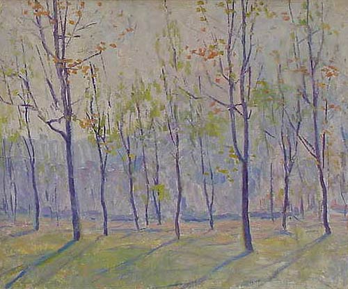 Forest Morning, 800$