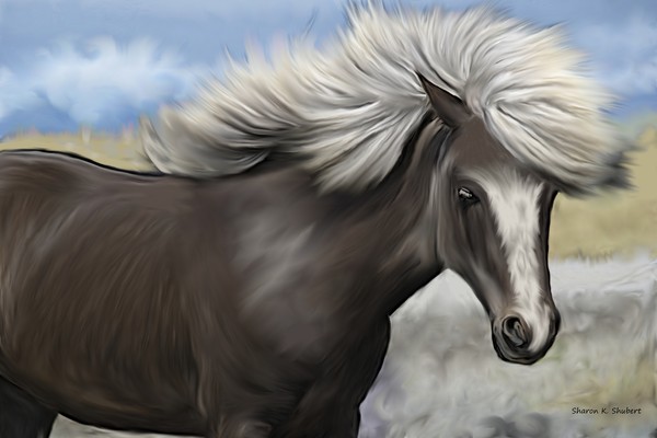 Gray Painted Pony