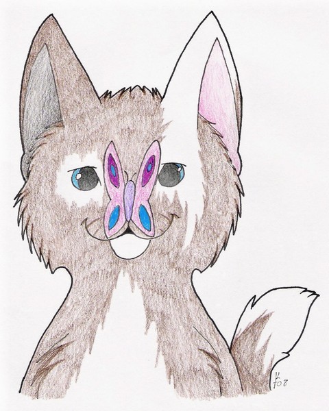 Cat with a Butterfly