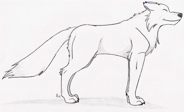 Wolf the Wolf