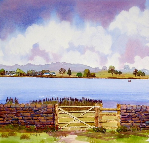 Llangorse lake in the Brecon Beacons national park