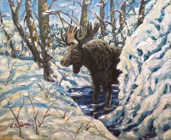 Moose in Snow
