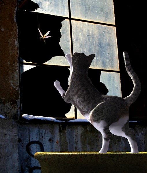 POUNCE