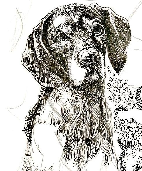 LOVE ME - LOVE MY DOG