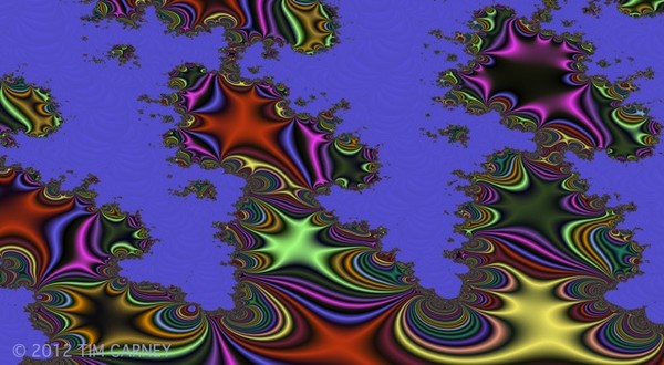 Fractal 50