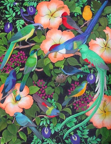 Central American Birds