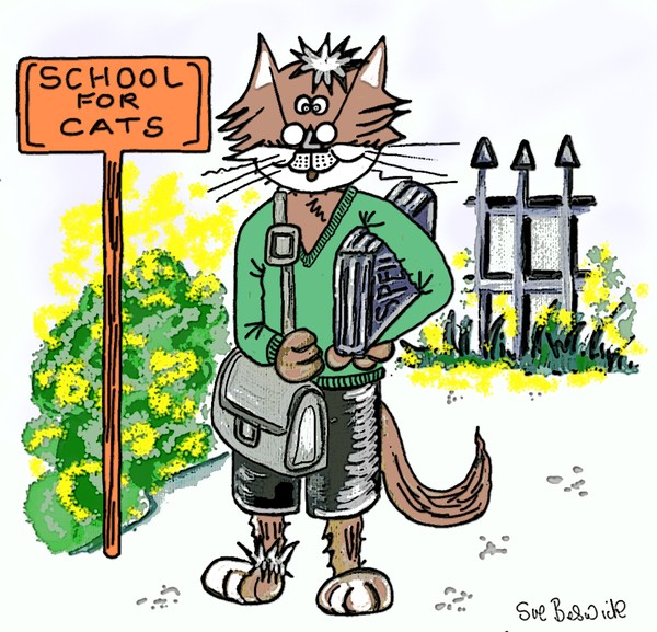 cartoon cat 2