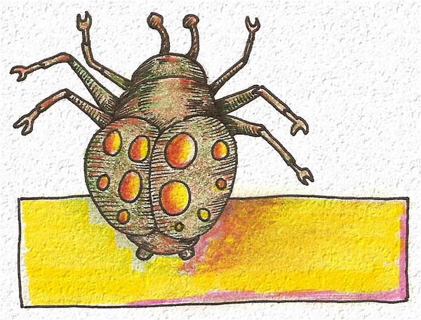 Bug #1