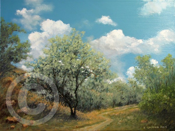 Russian Olive Trees