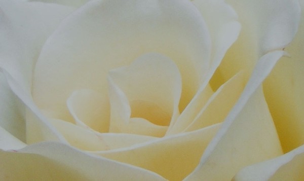 Lady_in_White_1