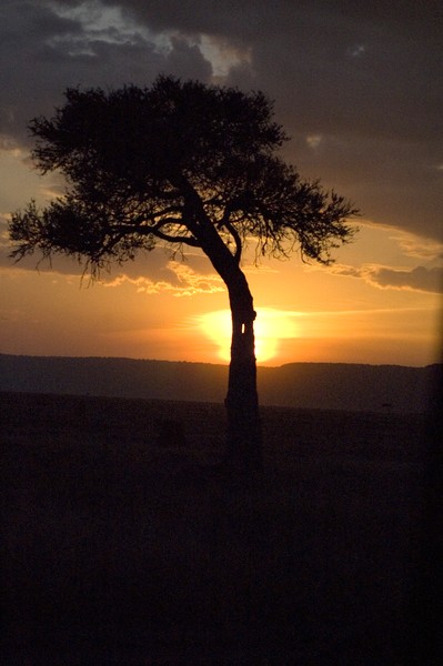 Masai Mara Sunset