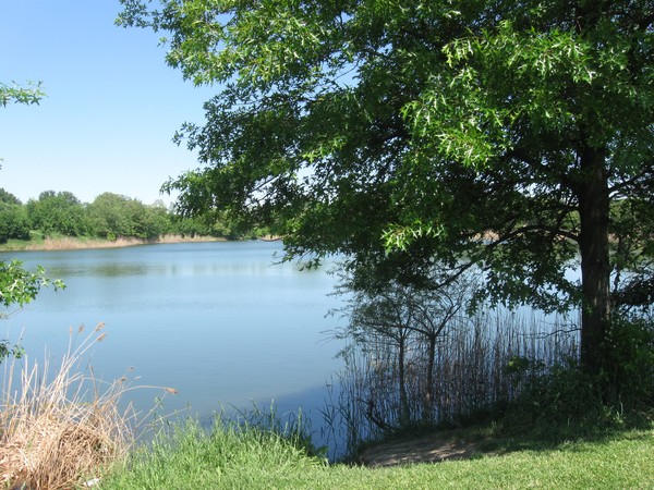 The Lake