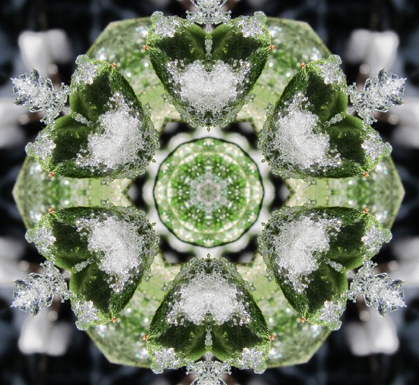 Glass Ice