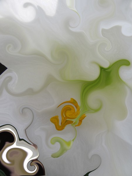 Liquid Lily