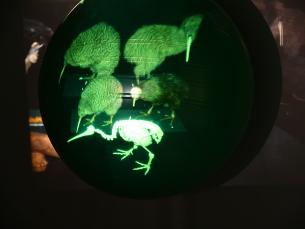 Green Globe 3.