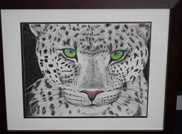 Leopard eyes