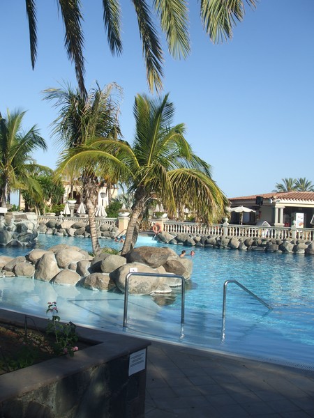 swimming in the palm oasis