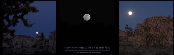 Moon over Joshua Tree National Park