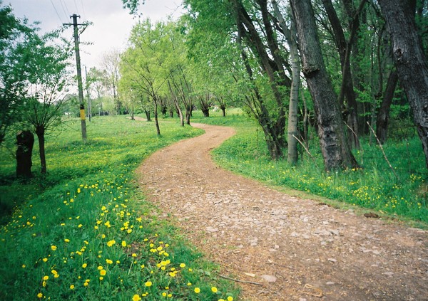Landscape in omne village