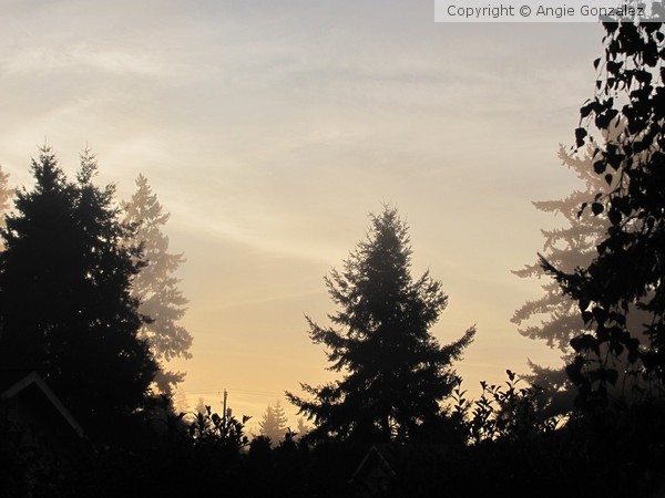 Spanaway