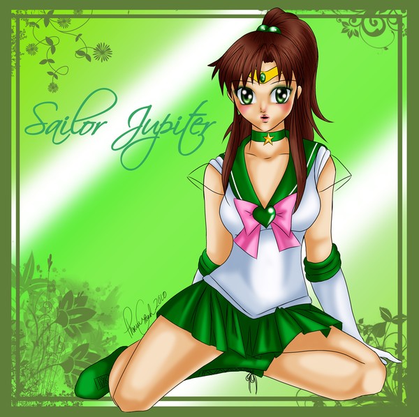 Sailor Jupiter Flower Frame