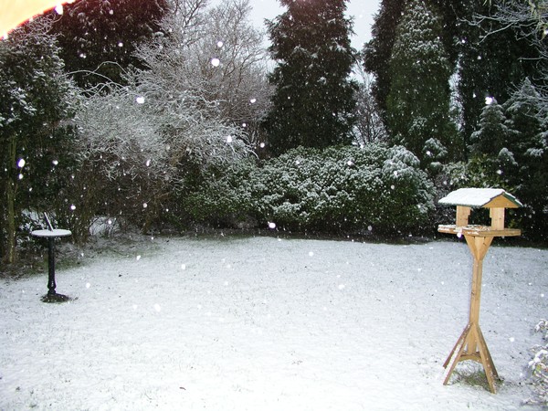 Snowfall
