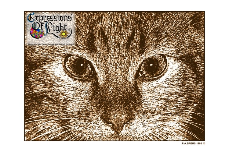 ExpoLight-Graphic-Arts-Cats-Eyes-1986-0001 (Pen-&-Ink-Photo-Sepia-SP)