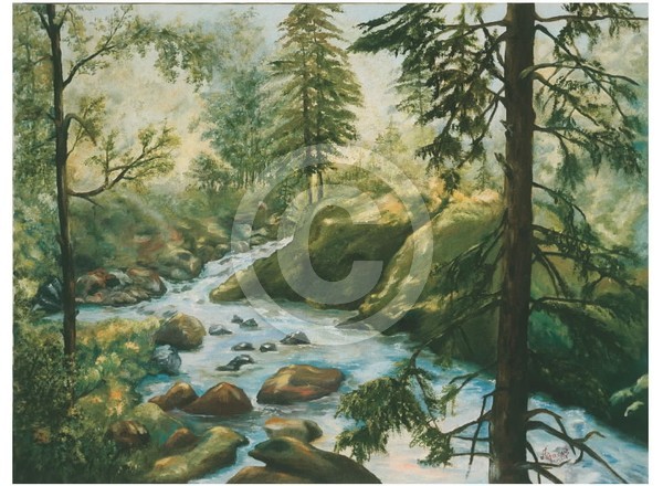 Adirondack Stream