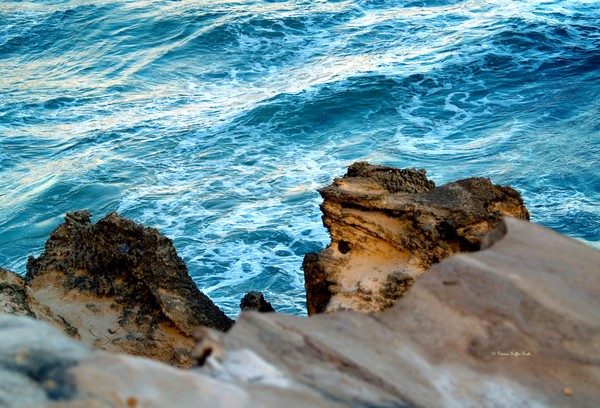 Nature's Sculptures VI